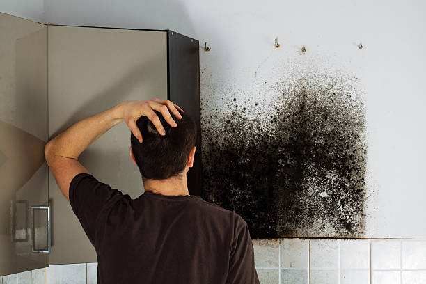 Best Crawl Space Mold Removal  in Cheraw, SC